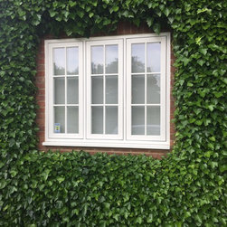 Timber Alternative Windows - Windows