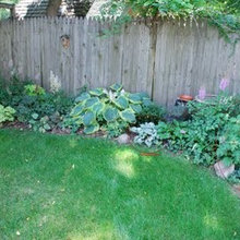 Fence plants