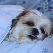 Suze Miller's photo