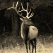 Bill Shafer's photo