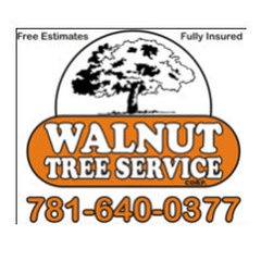 Walnut Tree Services
