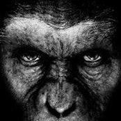 Afandi Gunawan's photo