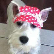 Missy Thomas-Calvin's photo