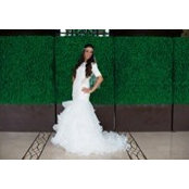 Vivi VeeVee's photo