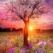 Camille DeVore's photo