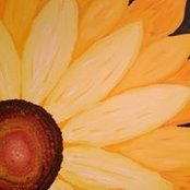 Tracy Doyle's photo