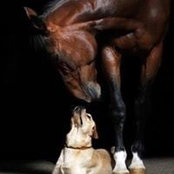 Foto von Barbara Forsyth