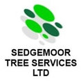Sedgemoor Tree Surgeons Ltd's profile photo
