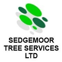 Sedgemoor Tree Surgeons Ltd