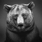 Ronald Basile's photo