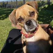 Lisa & Jack Bragin's photo