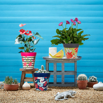 Colourful plant pots for outdoors or indoors