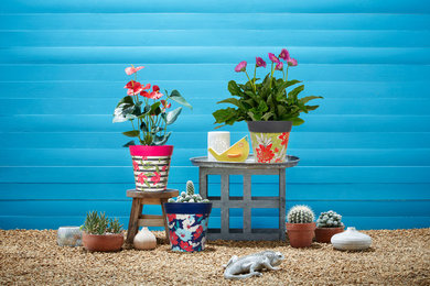Colourful plant pots for outdoors or indoors