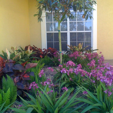 Front yard make-over