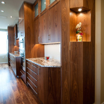 HIGH RISE KITCHEN REMODEL - Contemporary