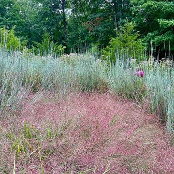 Native Meadow