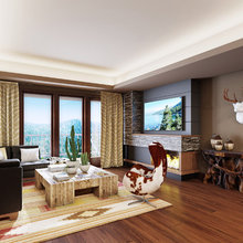 Living Room Ideas