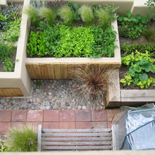 Veggie Patch/Growing