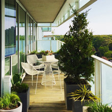 Patio Ideas