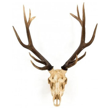 Wall Decor Art Deer Skull Animal Chestnut Ivory Poly Resin