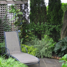 Backyard landscape ideas