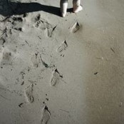 Jacqui Rus's photo