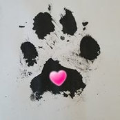 Foto von Gabriel Tavis