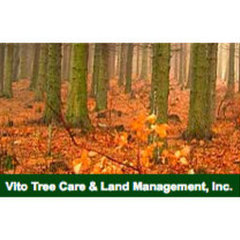 Vito's Tree Care & Landscaping