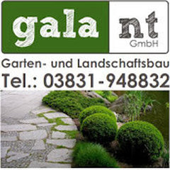 galant GmbH