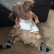 Chris King's photo