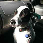 Emily Keeney's photo