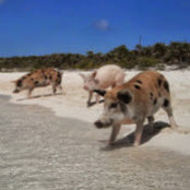 Ryan Parker's photo