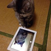 Foto von 宮城ちえみ
