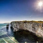 Anne Taylor's photo