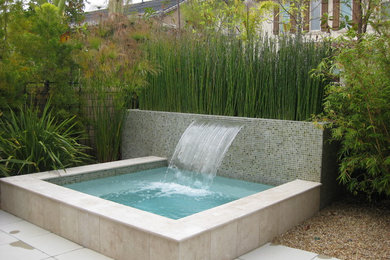 This is an example of a contemporary backyard garden in San Diego with a water feature.