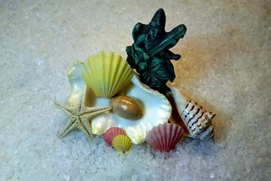 Prosperity Seashells and Starfish