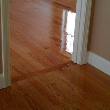New England Floor Sanding