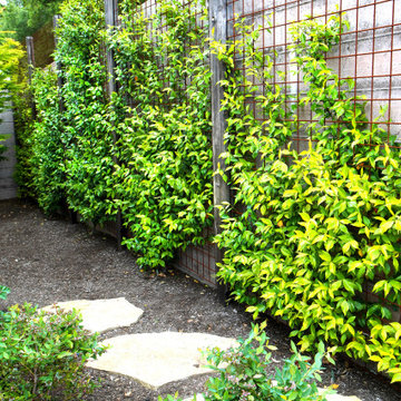 Extraordinary Greenery