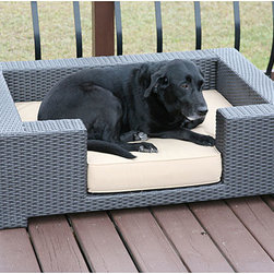 Outdoor - Pet Supplies