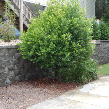Outdoor Living Patio Addition - Side Yard