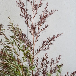 Winter details - Products