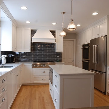 Northbrook Transitional Kitchen Renovation