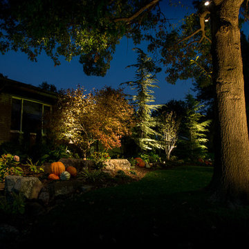 Low-voltage landscape lighting