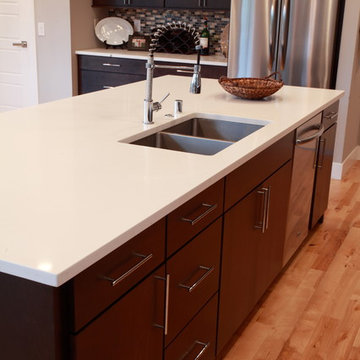 Maple Contemporary Kitchen