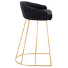 Canary Upholstered Contemporary Counter Stool, Set of 2, Black Velvet, Gold Meta