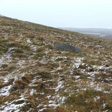 Tundra