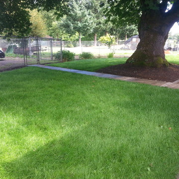 Before & After Master Gardener Landscape Makeover Lawn Reduction & Rain Gardens