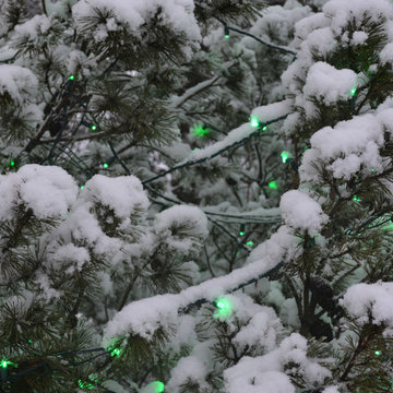 Christmas Decor by Timberline