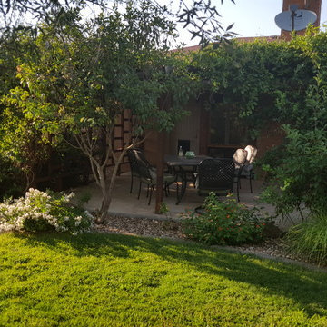 Cunningham Backyard Sanctuary 2018