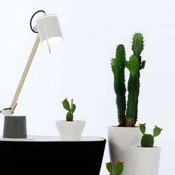 Lighting - Lighting